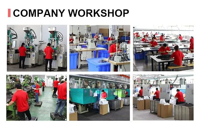 Company Workshop